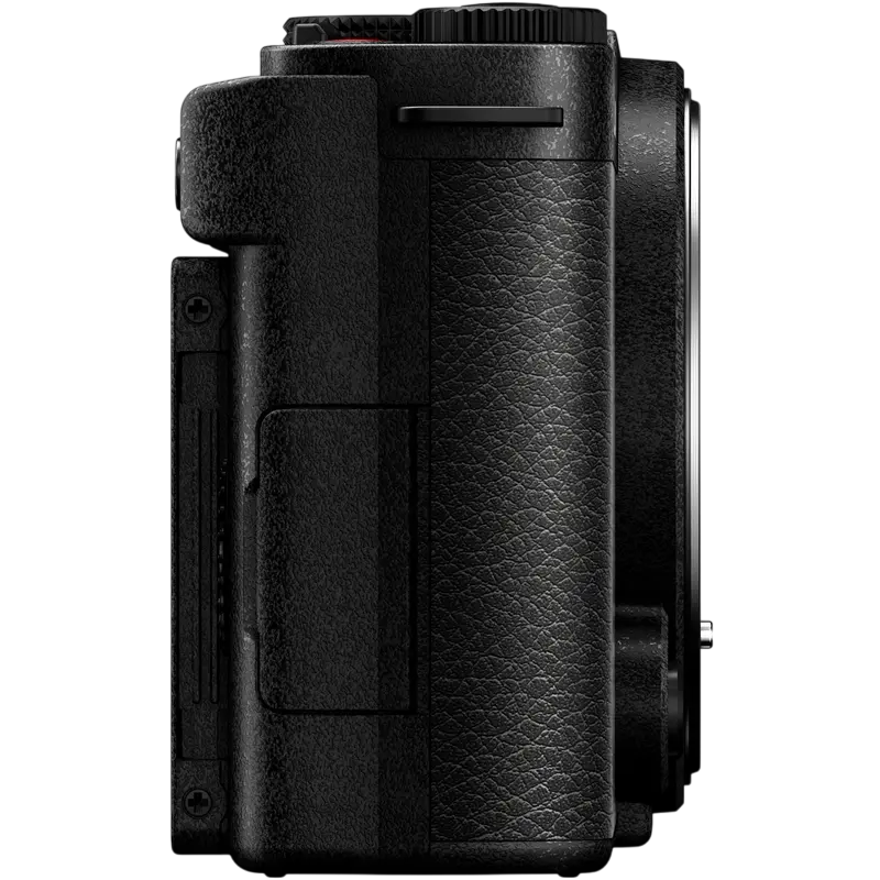 Беззеркальный фотоаппарат Panasonic Lumix DC-S9NE-K & Lumix S