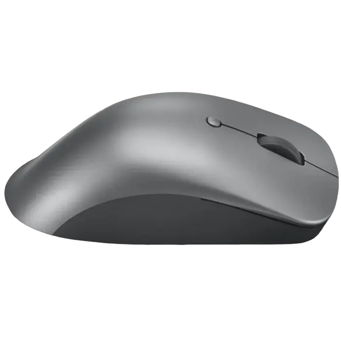Мышь Lenovo Professional Беспроводное,Проводное Storm Grey