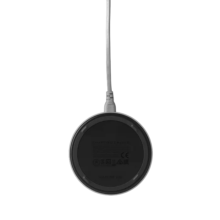 Портативная колонка Harman Kardon Citation 200 Серый