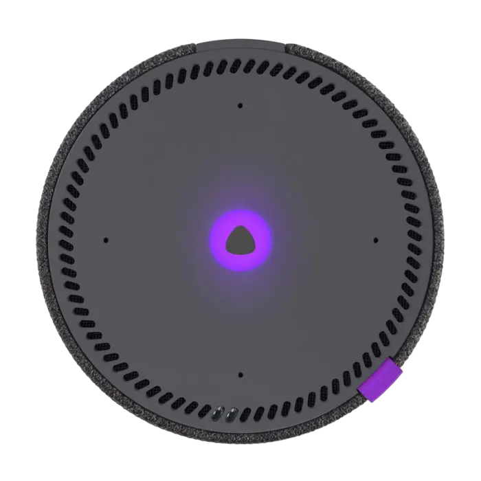 Difuzor Inteligent Yandex Station Mini Negru