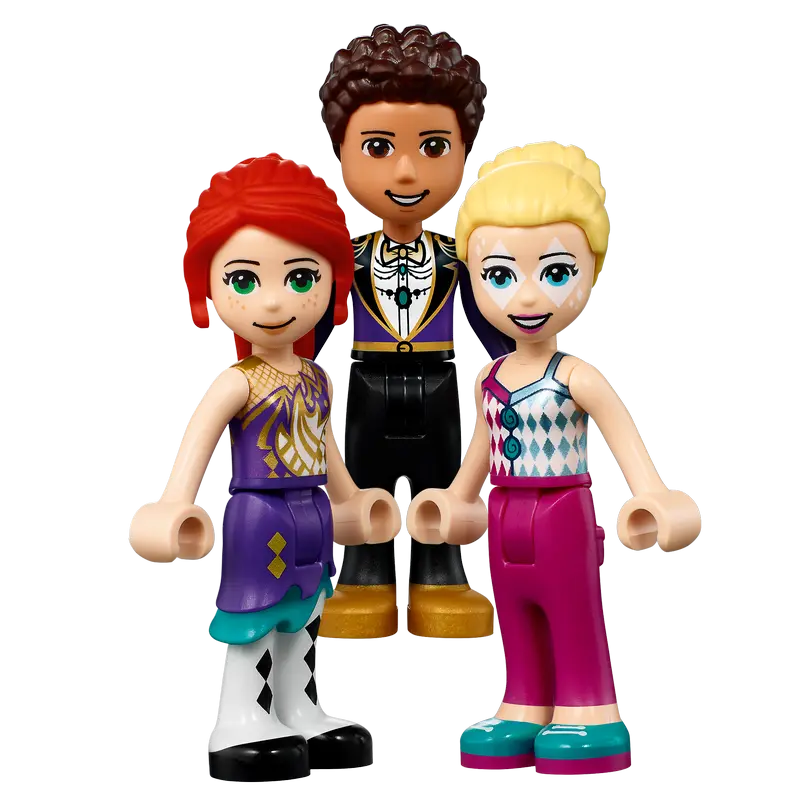 Конструктор LEGO Magical Ferris Wheel and Slide Разноцветный