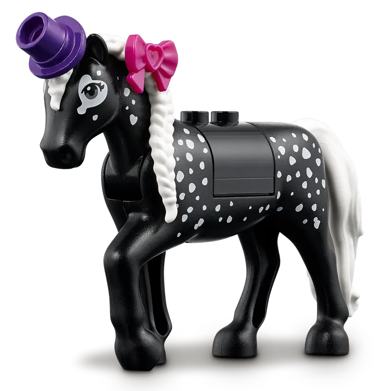 Constructor LEGO Magical Acrobatics Multicolor