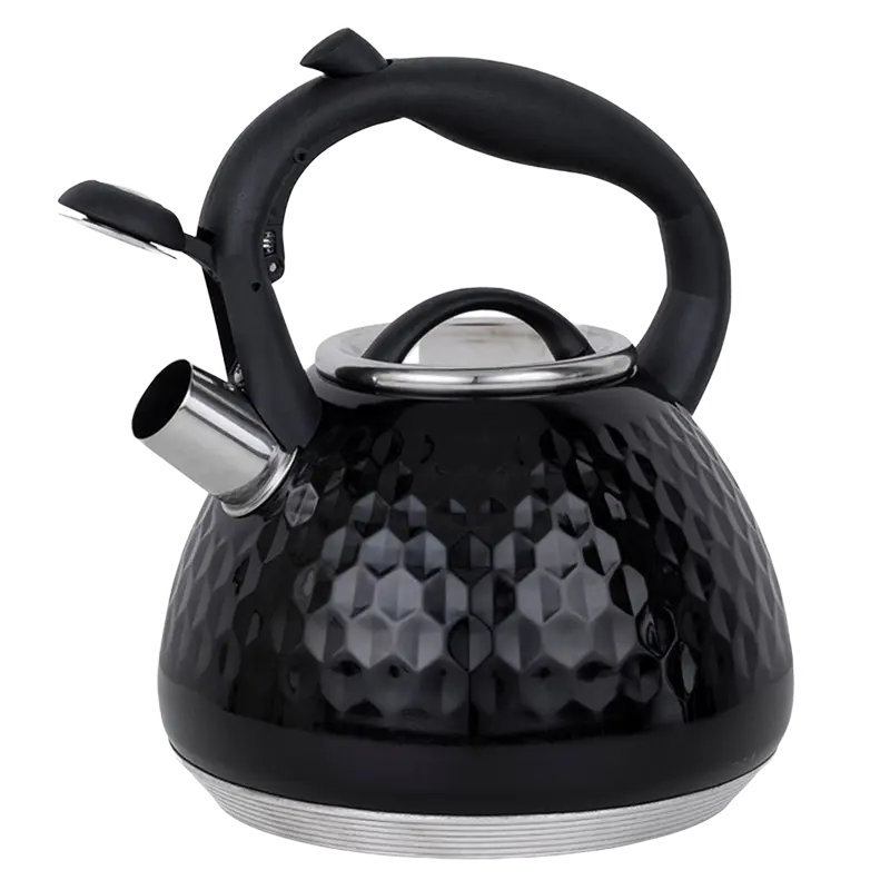 Чайник RESTO ARIES ARIES Черный