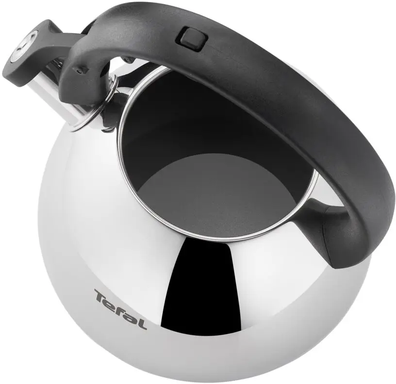 Чайник Tefal K2481574 Нержавеющая сталь