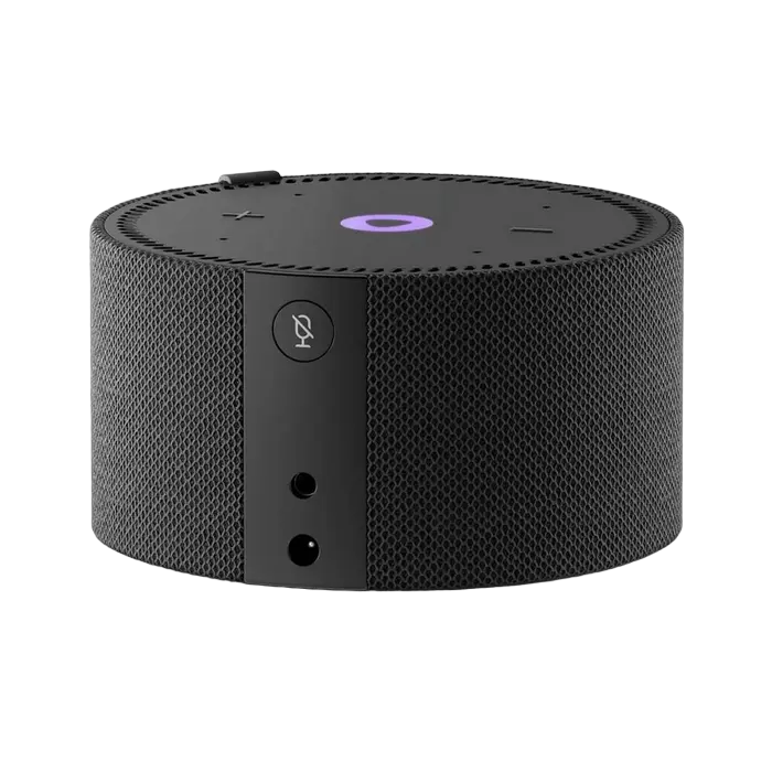 Difuzor Inteligent Yandex Station Mini Negru