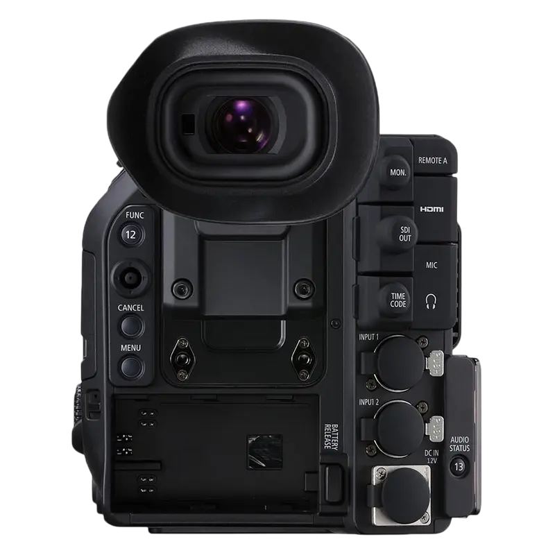 Видеокамера Canon EOS C500 Mark II Черный