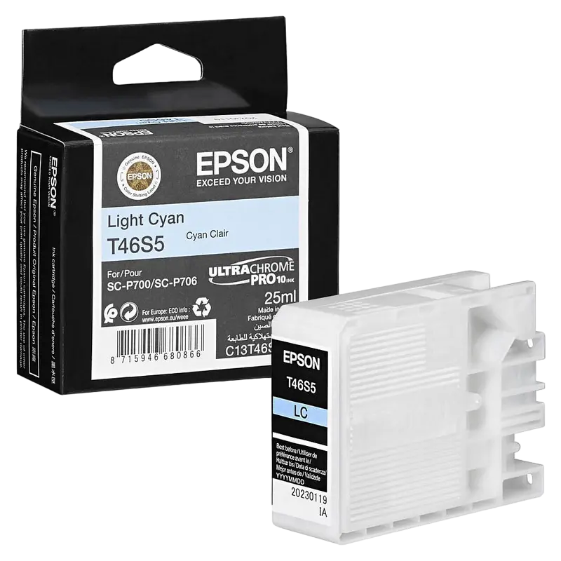 Cartuș de cerneală Epson T46S UltraChrome Pro 10