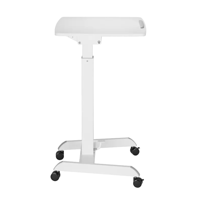 Reflecta Dino MWS600