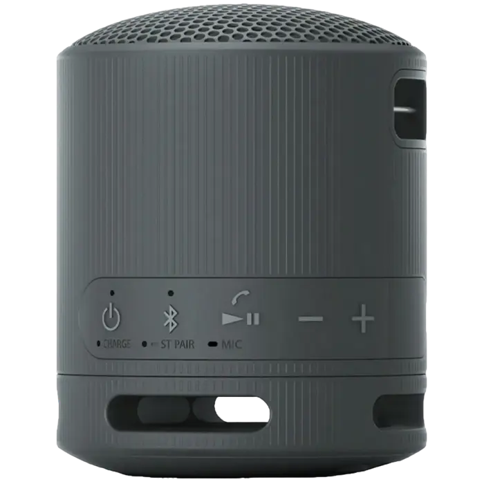 Портативная колонка SONY XB100 Чёрный