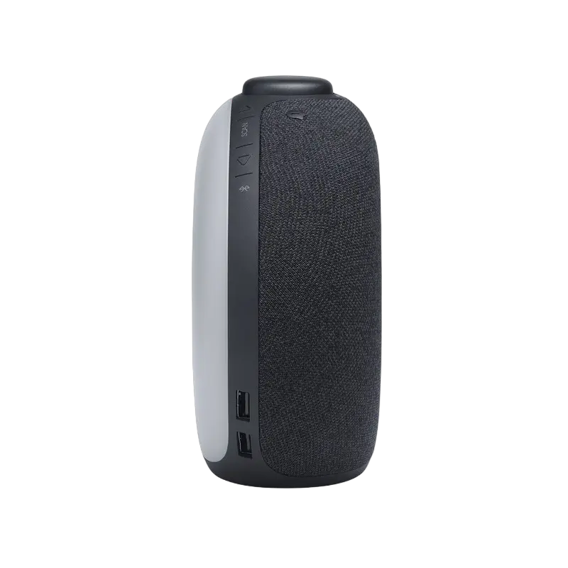 Портативное радио JBL Horizon 2 Чёрный