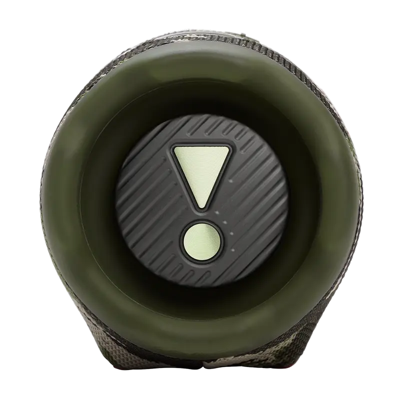 Портативная колонка JBL Charge 6 Squad