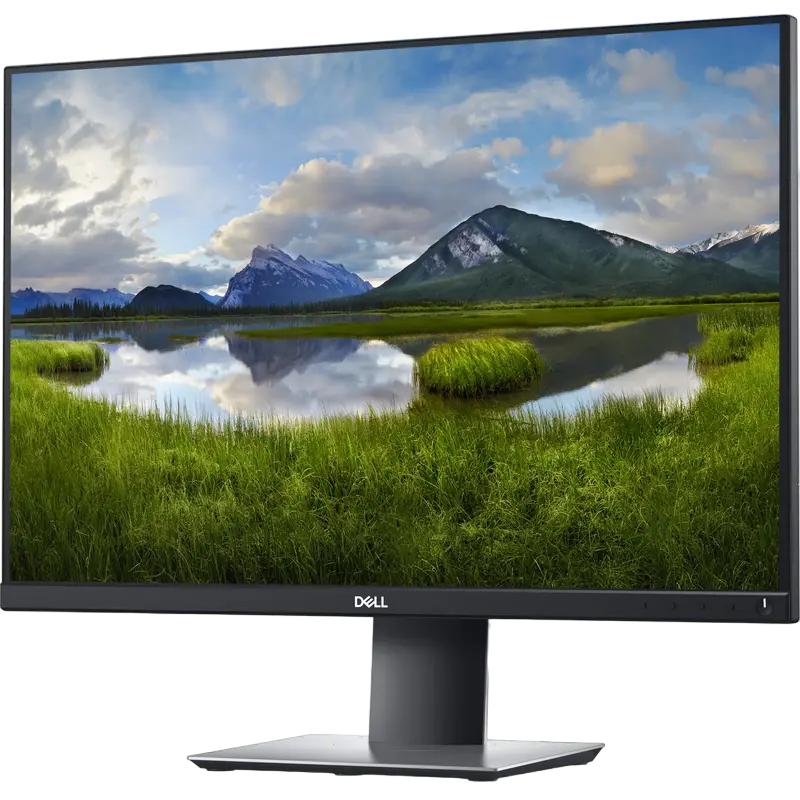 Monitor DELL P2421 Negru