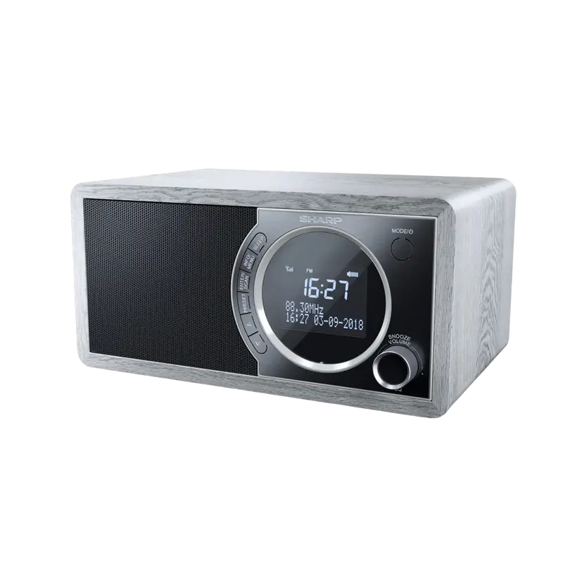 Radio portabil Sharp DR-450GRV02 Grey