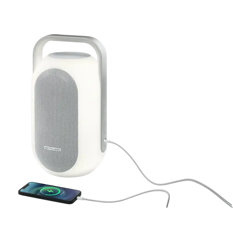 Портативная колонка MUSE ML-625 BT Белый