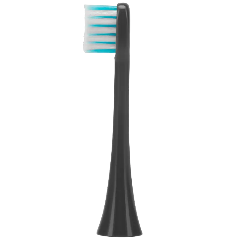 Электрическая звуковая зубная щетка Для взрослых Polaris PETB 0701 TC Графитовый