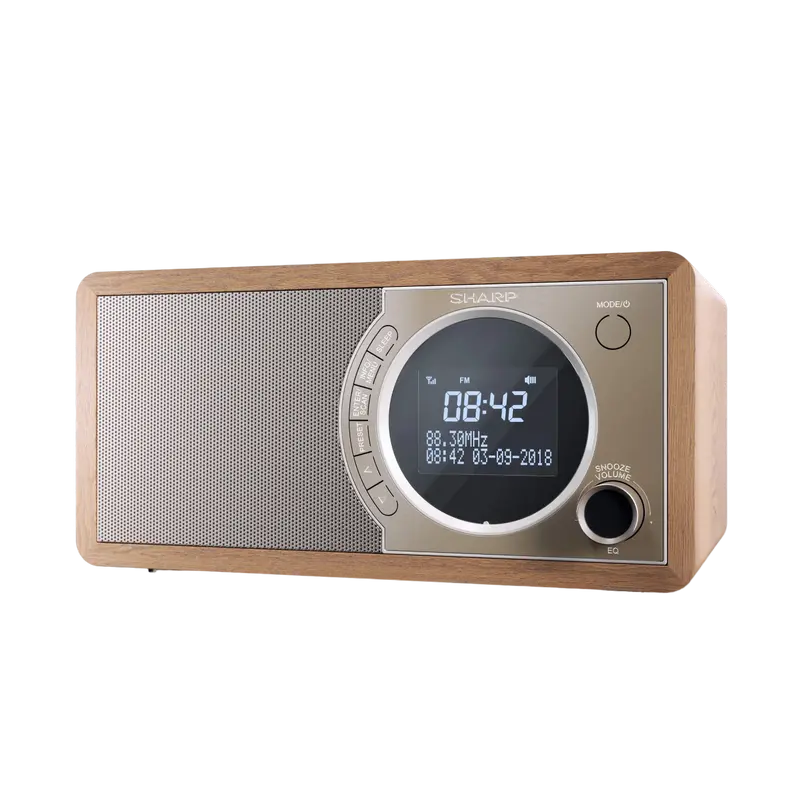 Radio portabil Sharp DR-450BRV03 Maro