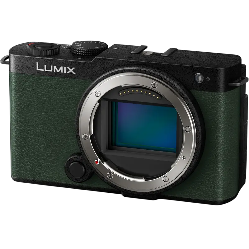 Беззеркальный фотоаппарат Panasonic Lumix DC-S9NE-G & Lumix S