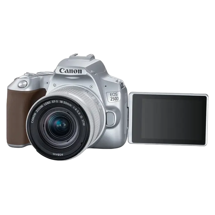 Зеркальный фотоаппарат Canon EOS 250D & EF-S