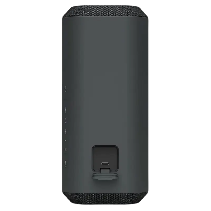 Портативная колонка SONY SRS-XE300 Чёрный