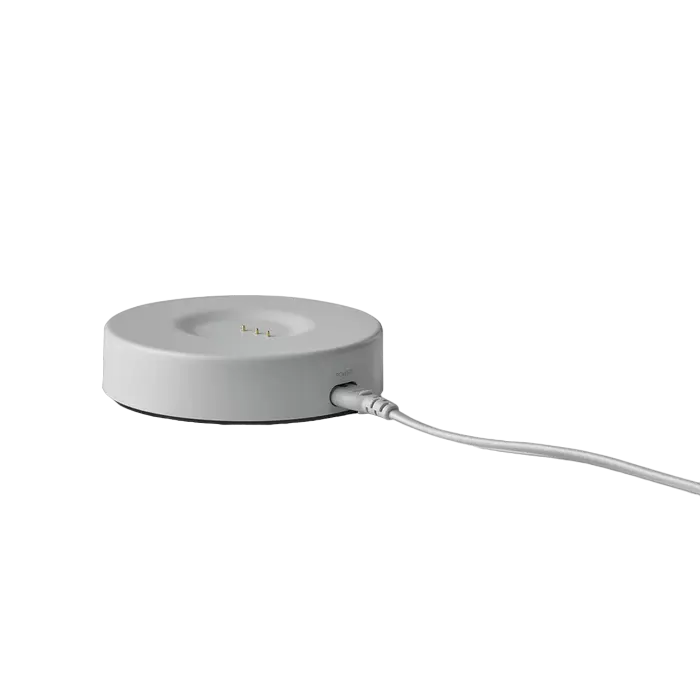 Портативная колонка Harman Kardon Citation 200 Серый