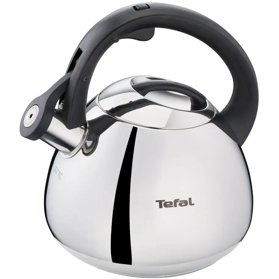 Чайник Tefal K2481574 Нержавеющая сталь