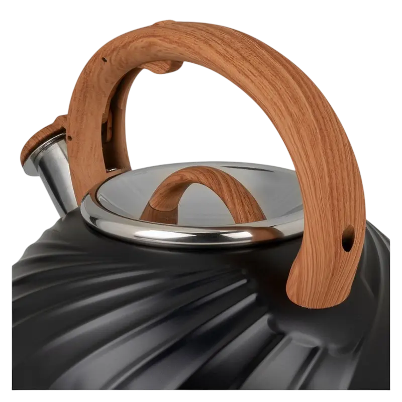 Чайник RESTO ALMAAZ Almaaz Черный