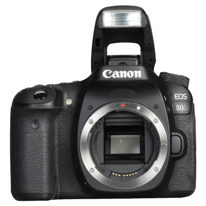 Зеркальный фотоаппарат Canon EOS 80D Body