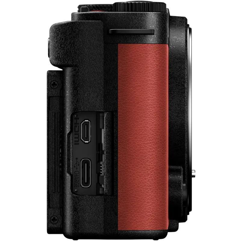 Aparat Foto Mirrorless Panasonic Lumix DC-S9NE-R & Lumix S