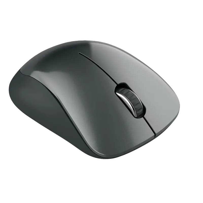 Беcпроводная мышь Canyon MW-11 Беспроводное Чёрный