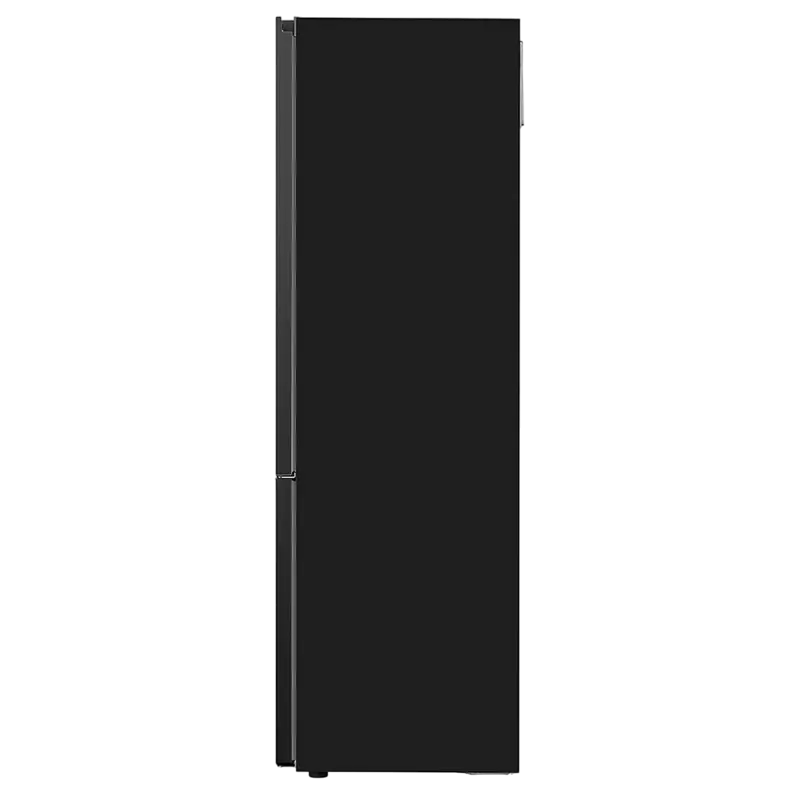 Холодильник LG GBV7280CEV Чёрный