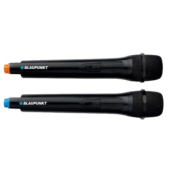 Boxă portabilă BLAUPUNKT PB12DB Negru