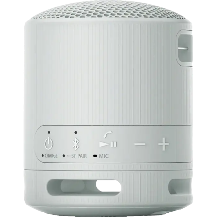 Портативная колонка SONY XB100 Светло-серый