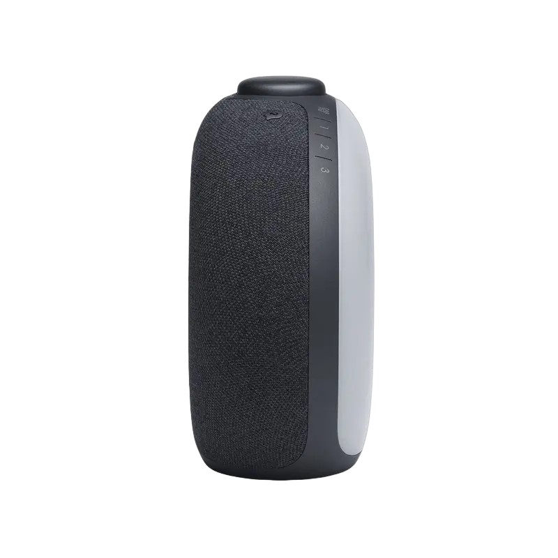 Портативное радио JBL Horizon 2 Чёрный