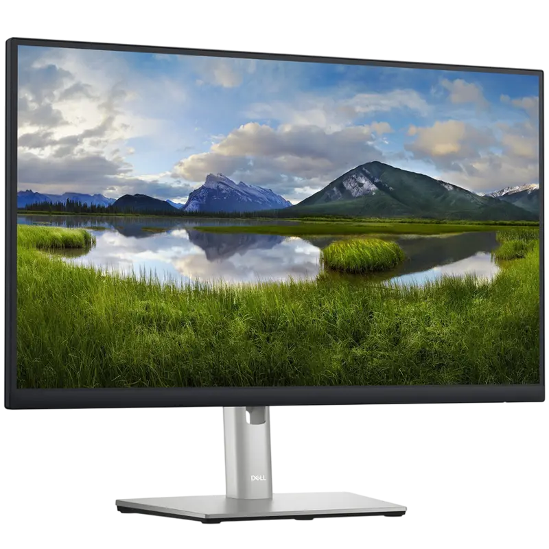 Монитор DELL P2423DE Серебристый | Черный