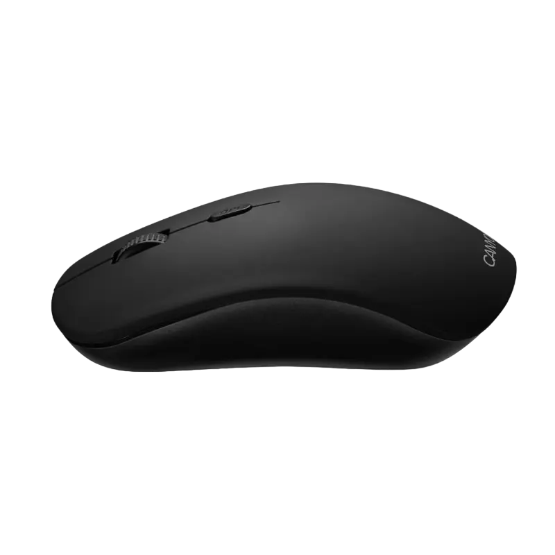 Mouse Wireless Canyon CND-CMSW400PG Fără fir Multicolor