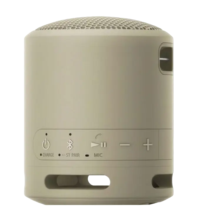 Портативная колонка SONY SRS-XB13 Серо-коричневый