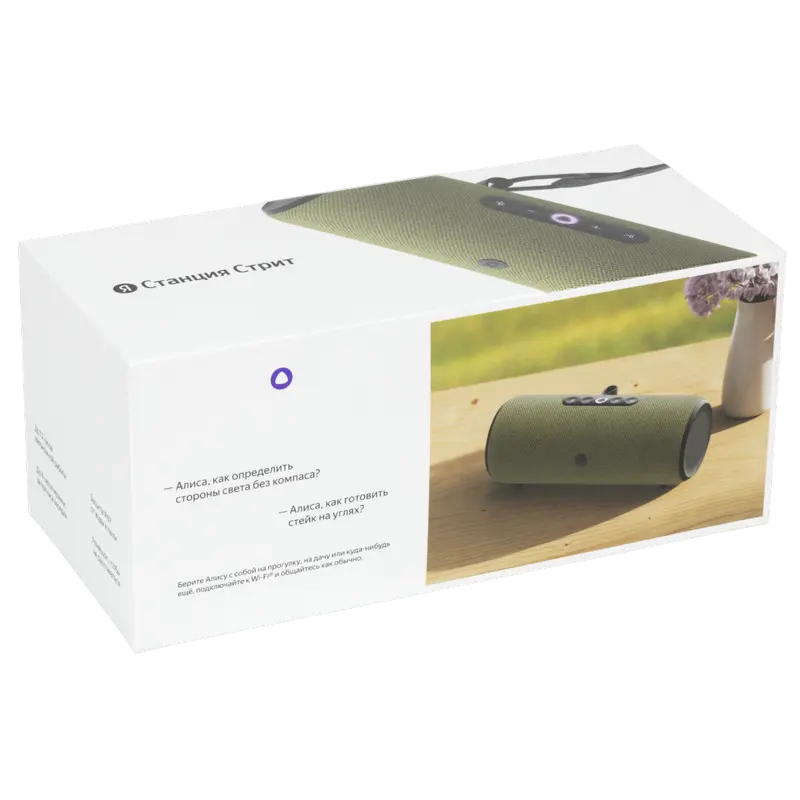 Difuzor Inteligent Yandex Station Street Verde