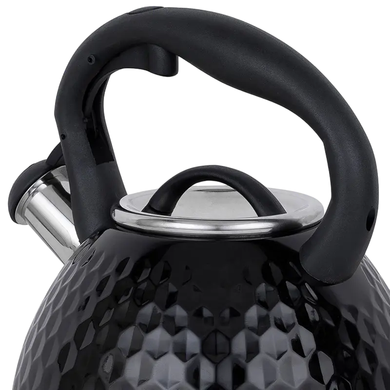 Чайник RESTO ARIES ARIES Черный