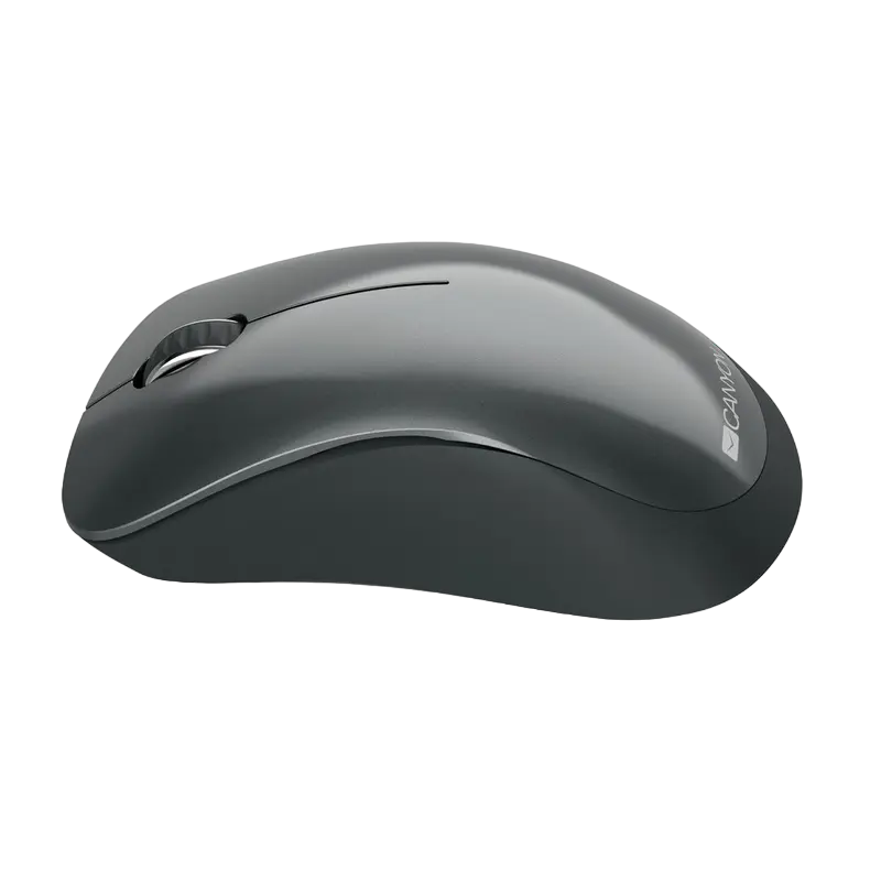 Беcпроводная мышь Canyon MW-11 Беспроводное Чёрный