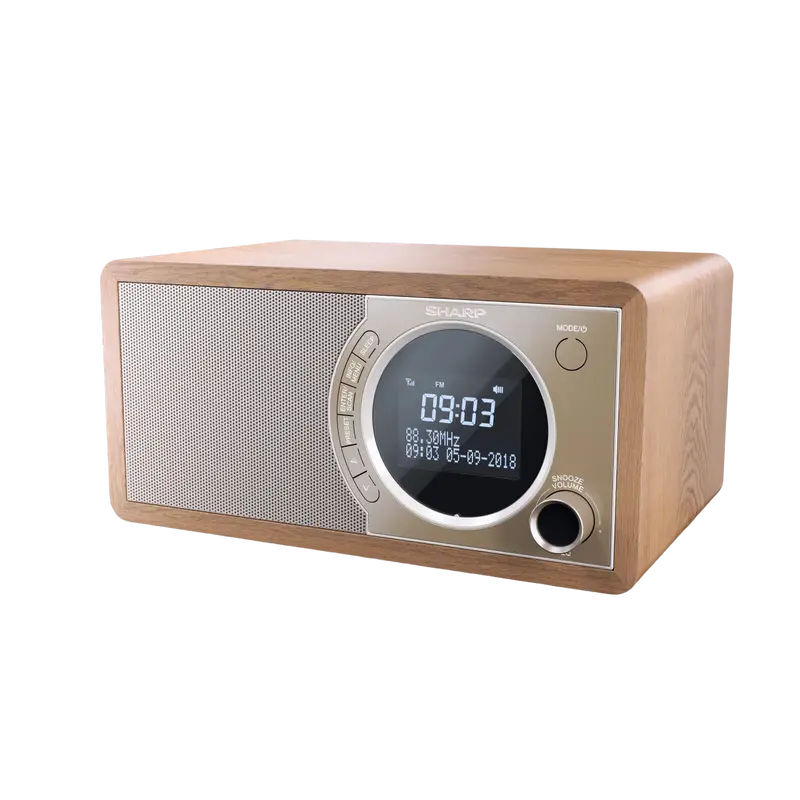 Radio portabil Sharp DR-450BRV03 Maro