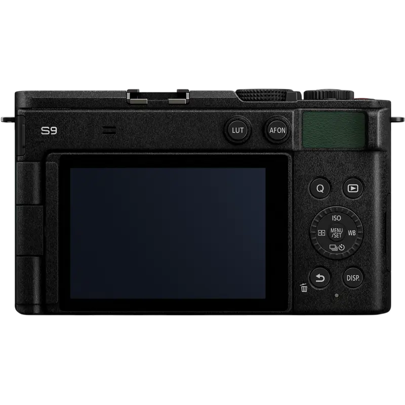Беззеркальный фотоаппарат Panasonic Lumix DC-S9NE-G & Lumix S
