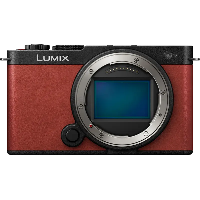 Aparat Foto Mirrorless Panasonic Lumix DC-S9NE-R & Lumix S