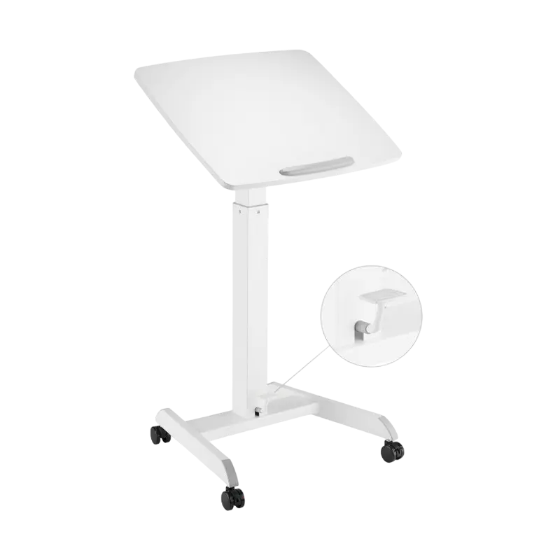 Reflecta Dino MWS600