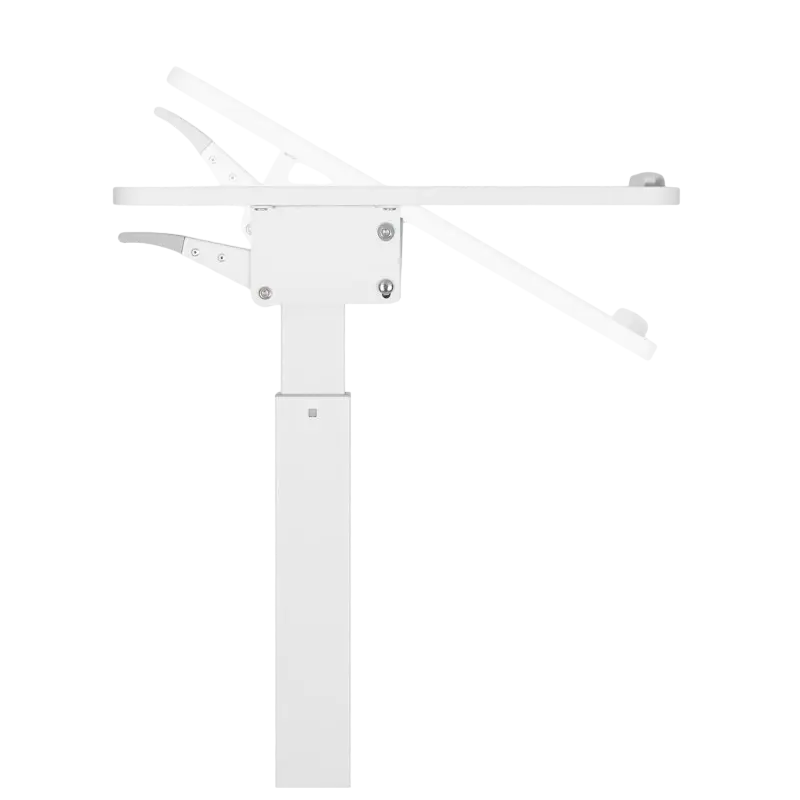 Reflecta Dino MWS600