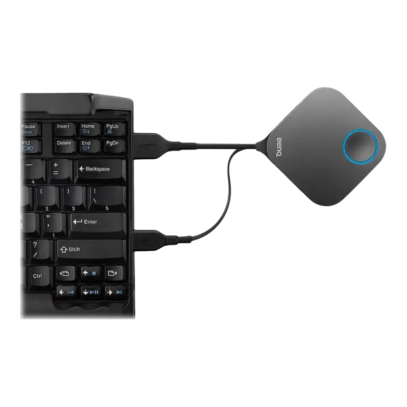 BenQ 9H.JF878.N5E / WDC10