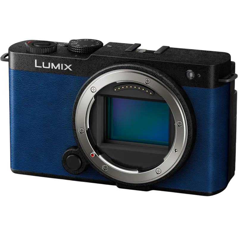Беззеркальный фотоаппарат Panasonic Lumix DC-S9NE-A & Lumix S