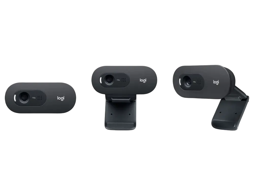 Веб-камера Logitech C505 HD Черный