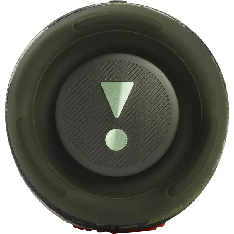 Портативная колонка JBL Charge 5 Камуфляж