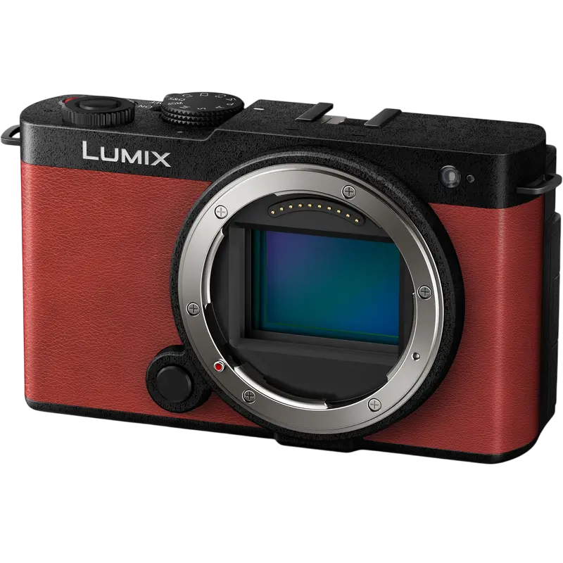 Aparat Foto Mirrorless Panasonic Lumix DC-S9NE-R & Lumix S