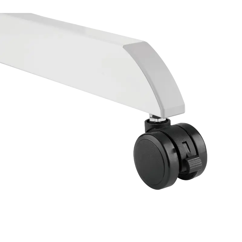 Reflecta Dino MWS600